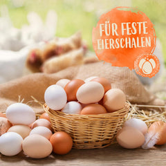 Ida Plus - GoldenEgg 200 ml - csökkentett Brucheier & Federfressen - támogatott Federwachstum & Federkleid - Wichtige Mineralien & Vitamine für Hühner - Beste Eierqualität bei Ihrer Hühnerhaltung