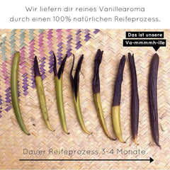 Prémium vaníliapor valódi vaníliababból, természetes, cukormentes, adalékanyagok nélkül, méltányos kereskedelem, vegán (40 g doboz nélkül) a Vanilla Campaign® Flavours Naty Shopból