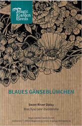 Kék százszorszép (Brachyscome iberidifolia) kb. 500 mag egynyári erkélyvirág, hosszan virágzó cserepes növény, nyári virág