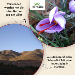 Herbaria Safran-Fäden bio 0,5g im Glas – Bio Saffron-Fäden aus dem bereicht Safran-Ort Taliouine in Marokko – Safranfäden in Premium Bio-Qualität – Saffron Premium – Safran première catégorie