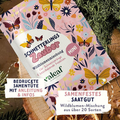 Schmetterlingswiese Blumensamen Schmetterlingsgarten I Blumensamen Balkon I Blumensamen TĂŒtchen mit Wiesenblumen Samen I bienenfreundlich Blumensamen (Schmetterlings-Zauber mini)