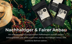 Probierset Kaffee und Espresso | Ganze Bohne oder Gemahlen – 6 Sorten Café & Espresso | Aromatisch & Vollmundig Perfekt zum Testen oder als Geschenk