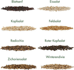Salátamagok: 8 fajta salátamagból álló készlet a kertbe és az erkélyre - salátamag, mustárlevél, báránysaláta (kemény), radicchio, endívia mag, cikória - saláta magvak saját termesztésből
