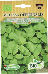 Zitronenmelisse MELISSA OFFICINALIS ECBIO1106