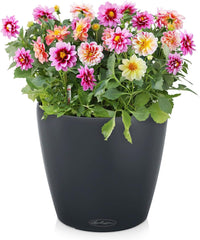 LECHUZA CLASSICO Culoare 28 gri ardezie 13204