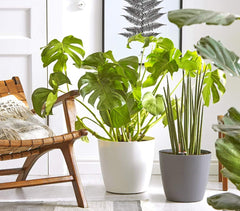 Ghiveci Dehner Mila cu sistem de auto-udare, Ø 30 cm, înălțime 26 cm, plastic, alb