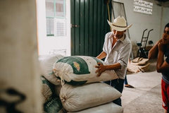 Cafea Arabica Tosepan din pădurea tropicală din Mexic 1000 g