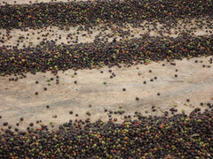 CAFES GUILIS 1928 ÓTA AMANTES DEL CAFÉ - Koffeinmentes Arabica kávébab 1 kg Coffee Naty Shop