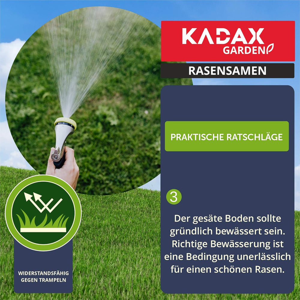KADAX Ziergras, 200 M², Ziergrassaatgut, Grassaatgut, Rasenmischung, Grassamen, Rasensaat, Wirksames Saatgut, Rasensaatmischung, Gras, Saatgutmischung (5 Kg)