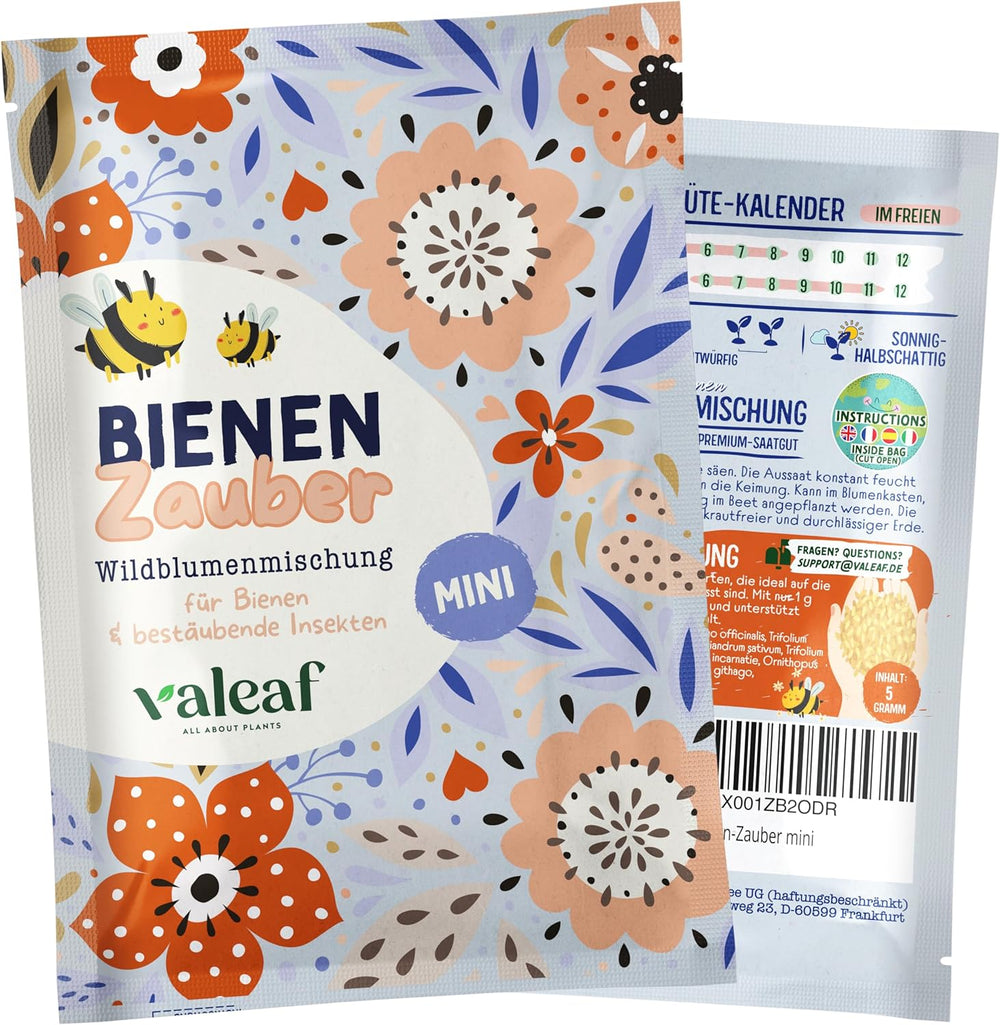 Schmetterlingswiese Blumensamen Schmetterlingsgarten I Blumensamen Balkon I Blumensamen Tütchen mit Wiesenblumen Samen I bienenfreundlich Blumensamen (Schmetterlings-Zauber mini)