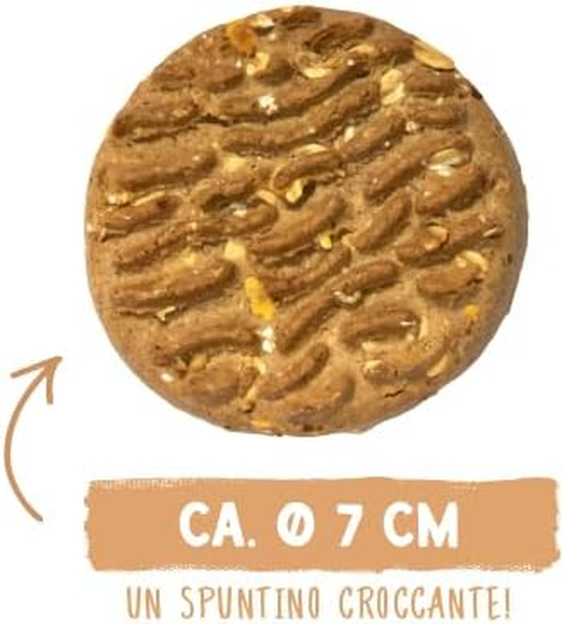 Sammy müzli érméi | Ropogós sült snackek kutyáknak | 5 gabonás müzli érme nagy szőrös barátjának (30 kg+) | 1 kg