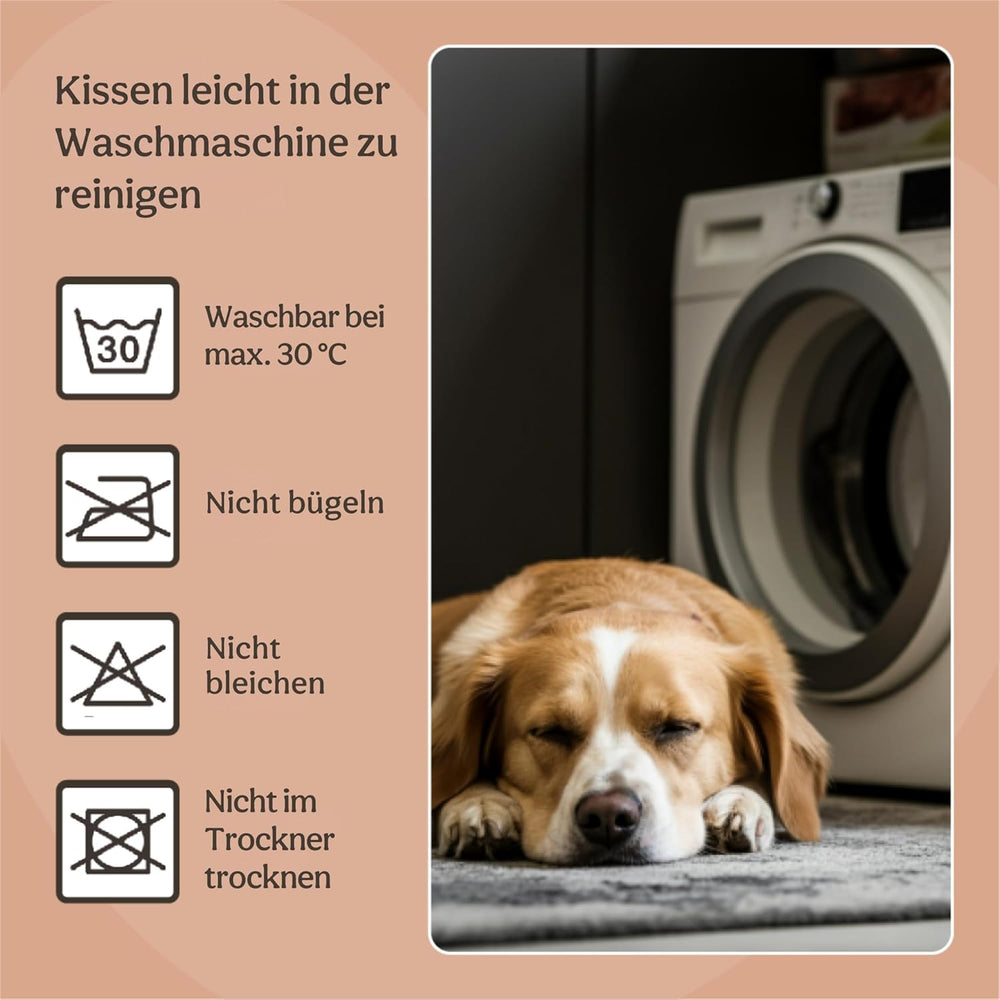 Paturi & Canapele, Pături & Mobilier, Animale de companie, Pisici, Paturi pentru pisici, Pisici - culcusuri, saltele