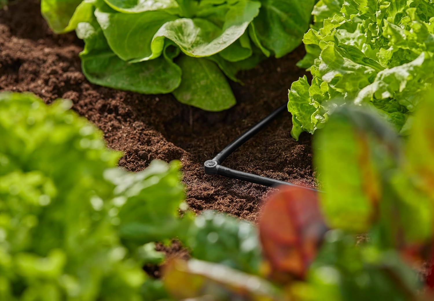 Piesă în L pentru sistemul de picurare Gardena Micro-Drip 4,6 mm (3/16 inch): Pentru schimbarea direcției de distribuție și a liniilor de picurare cu 90 de grade, instalare fără îndoiri, tehnologie de conectare ușoară și flexibilă (13212-20)