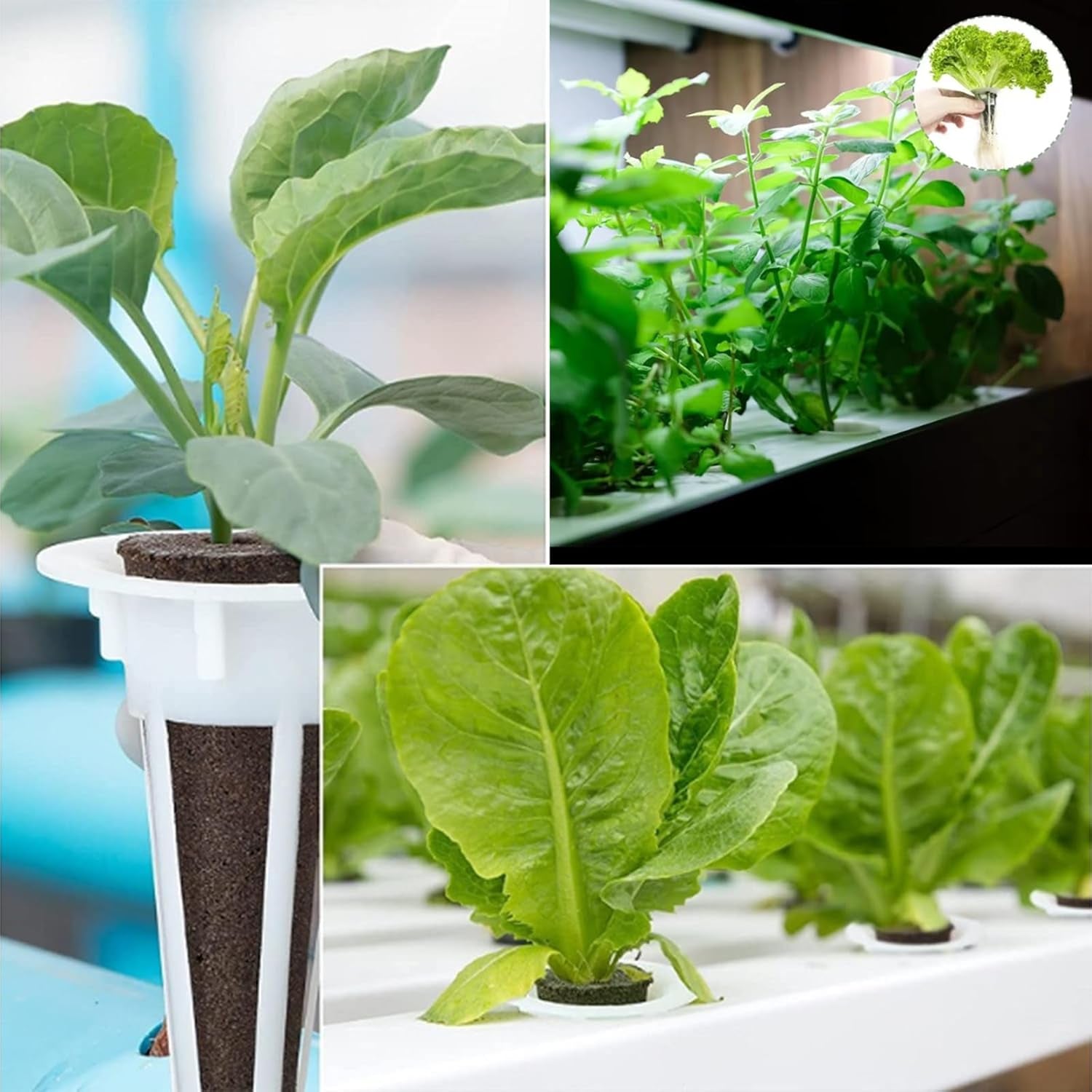 50 csereszivacs, vetőmagtelepítő csövek, gyökértermesztő szivacsdugók, hidroponikus termesztőkészletek hidroponikus termesztőrendszerekhez, beltéri hidroponika, kert