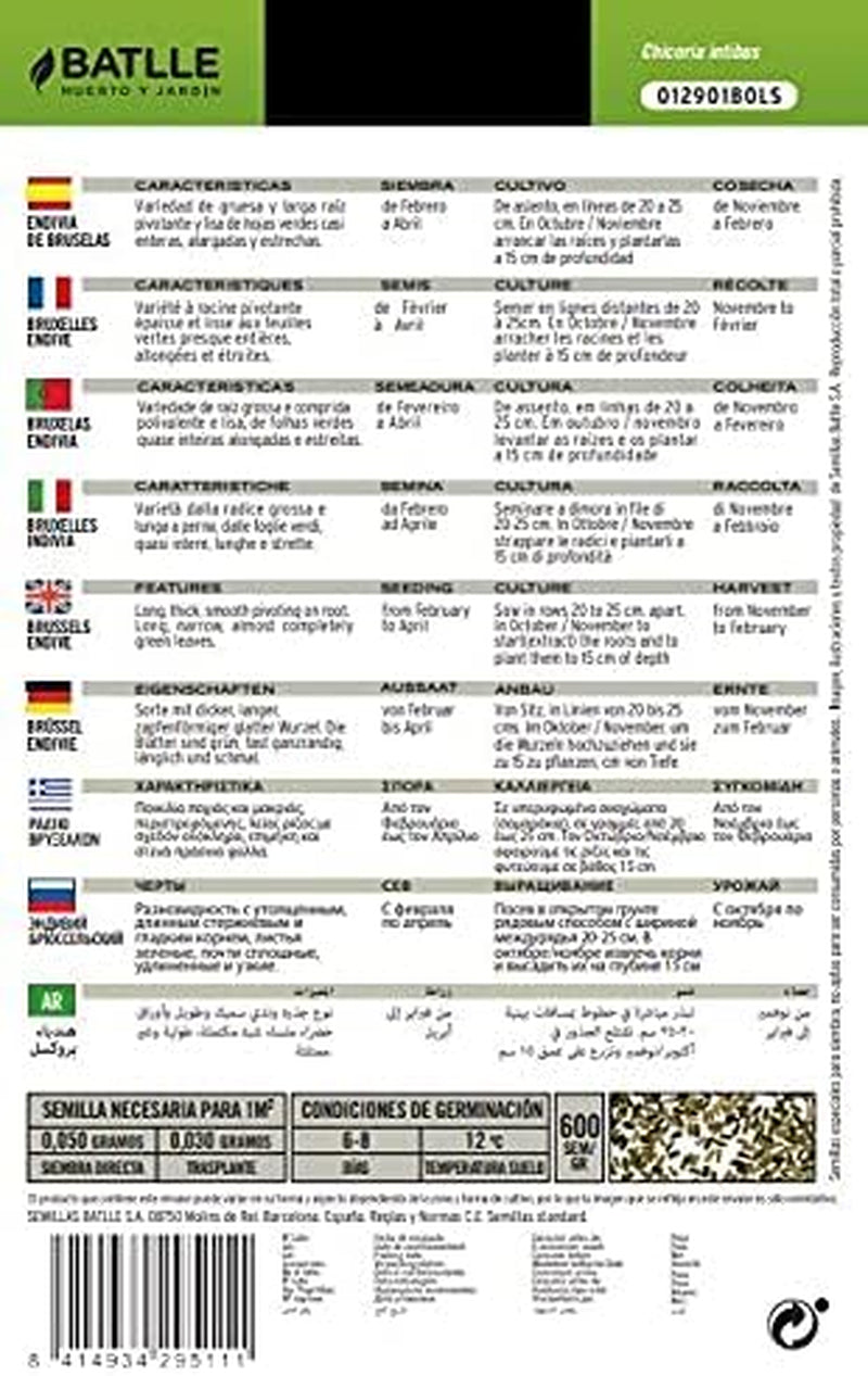 Batlle Gemüsesamen - Chicoree Sorte Brüssel (Samen)