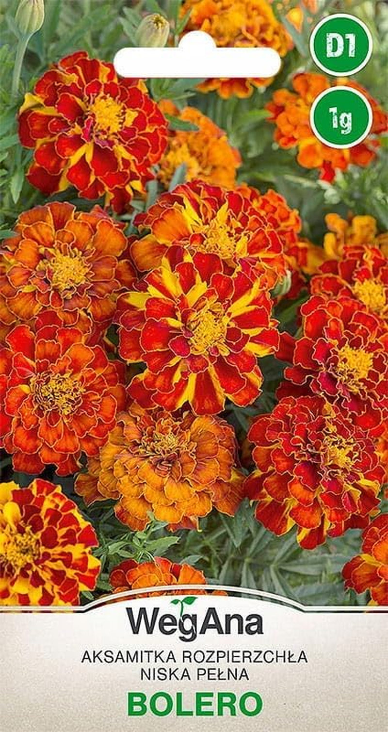 Cosmos Sensation Mix 1g mag, Cosmos Mix Nyári virágok, Kerti növények Erkélynövények, Virágmagok