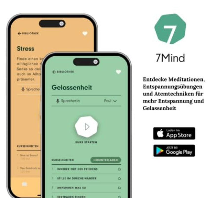 Meßmer Wohlfühltee Mixbox | 20 pliculețe de ceai | 5X Energie | 5X Siguranță | 5X Relaxare | 5X Somn bun | Un mix de ceaiuri din plante din gama Meßmer Wohlfühl