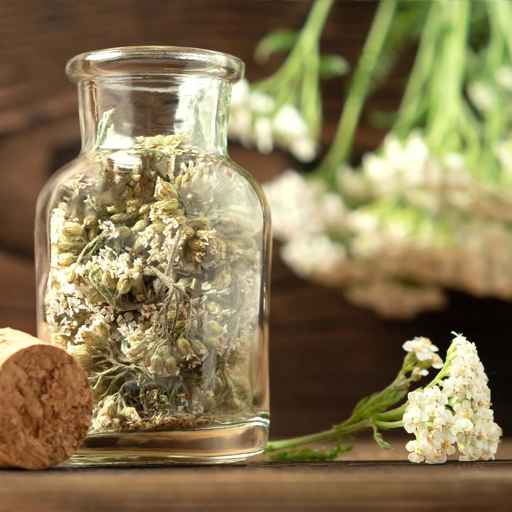 Tea magkészlet: 8 fajta mag erkélyre és kertre - menta, kamilla, ánizs, csalán, mályva - növényi magvak - tea - teásdoboz - Saját termesztésű növények