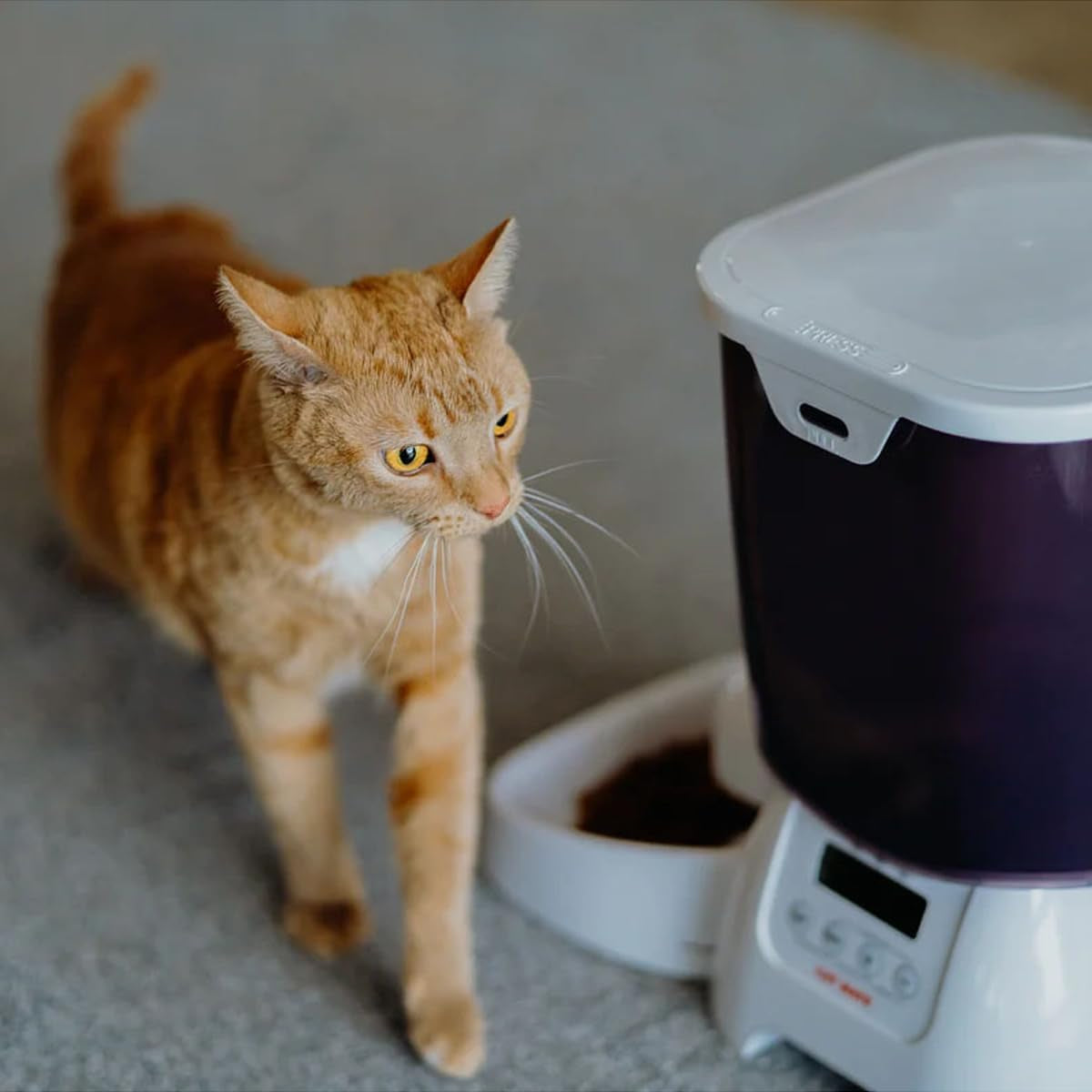 Dozator automat de alimente uscate L: 21,1 cm lățime: 21,1 cm înălțime: 36,8 cm 3 kg 905 g