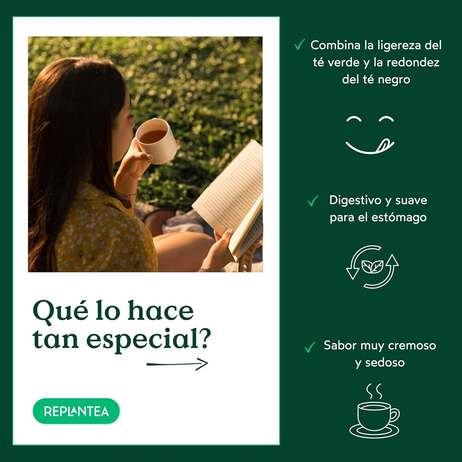 Ceai Milky Oolong BIO (100 g) | Ceai Oolong premium vrac cu note cremoase și dulci de lapte | Specialitate de ceai delicată | REPLANTEA