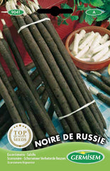 Schwarzwurzeln NOIRE DE RUSSIE, Mehrfarbig, EC9041