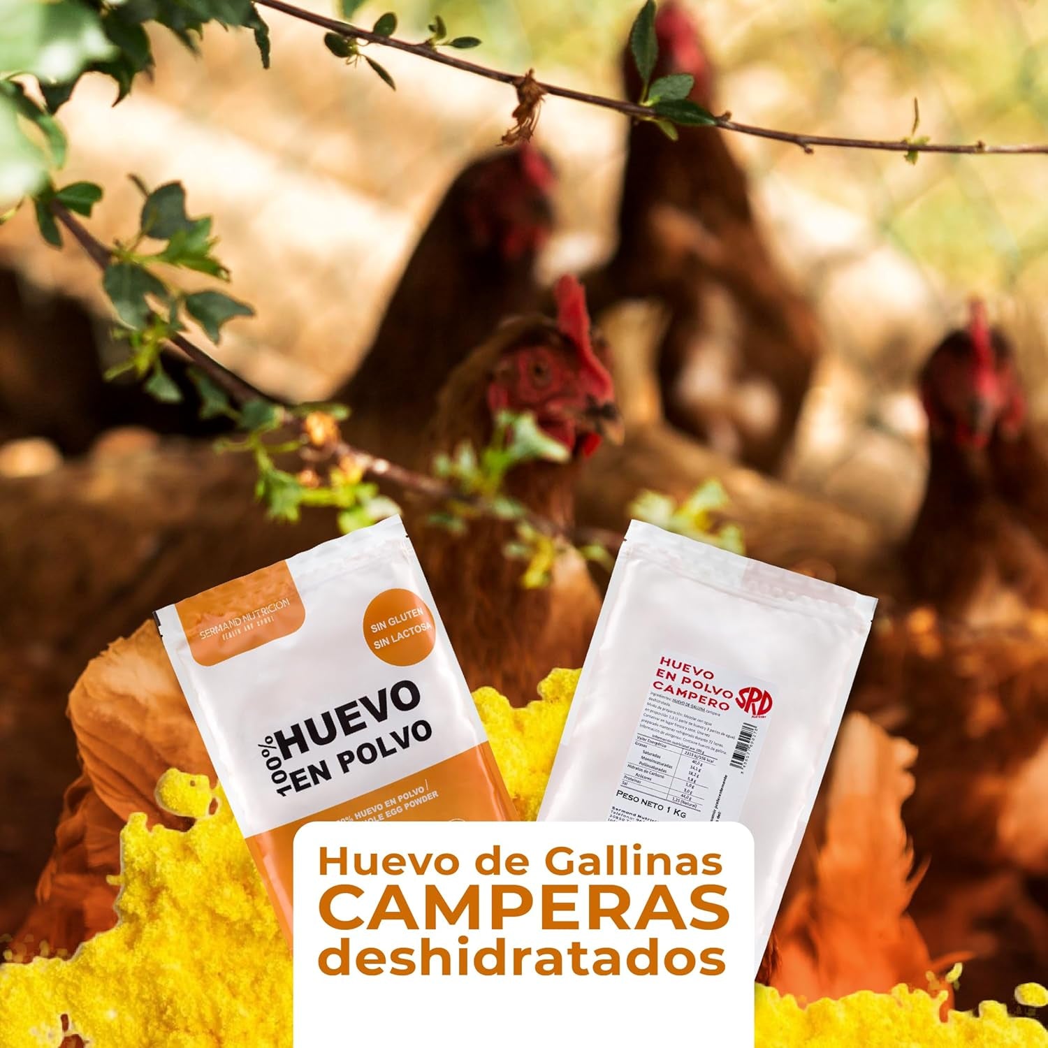 Eipulver aus Freilandeiern (1kg) | Pasteurisiertes Vollei Pulver | Ohne Zusatztoffe | Glutén- és laktózmentes | Vakuumverpackung im Zip-Beutel