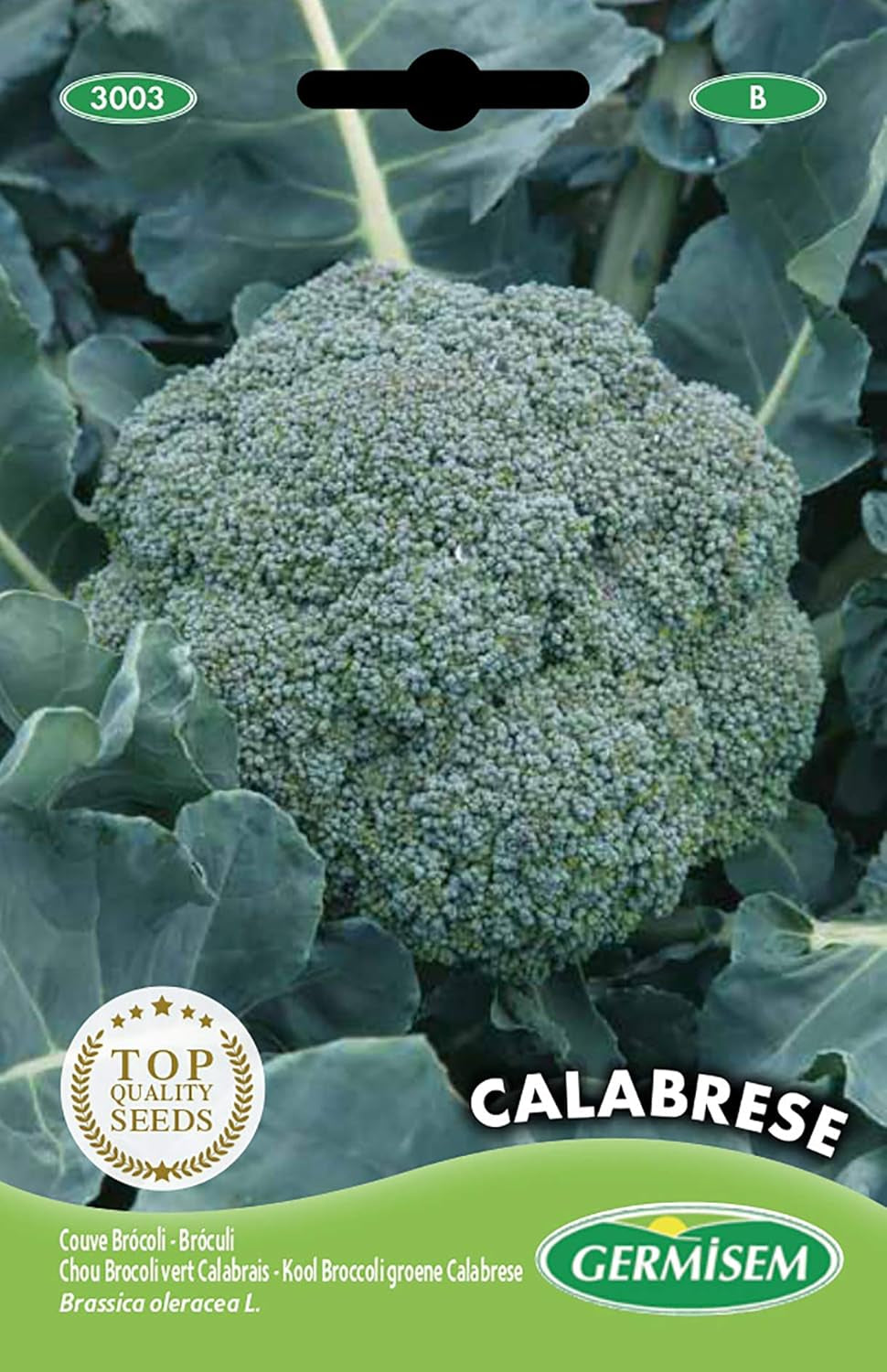 Brokkoli CALABRESA, Mehrfarbig, EC3003