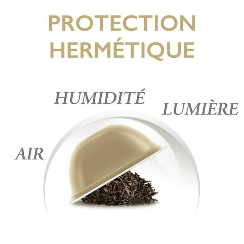 Special T - Red Romance