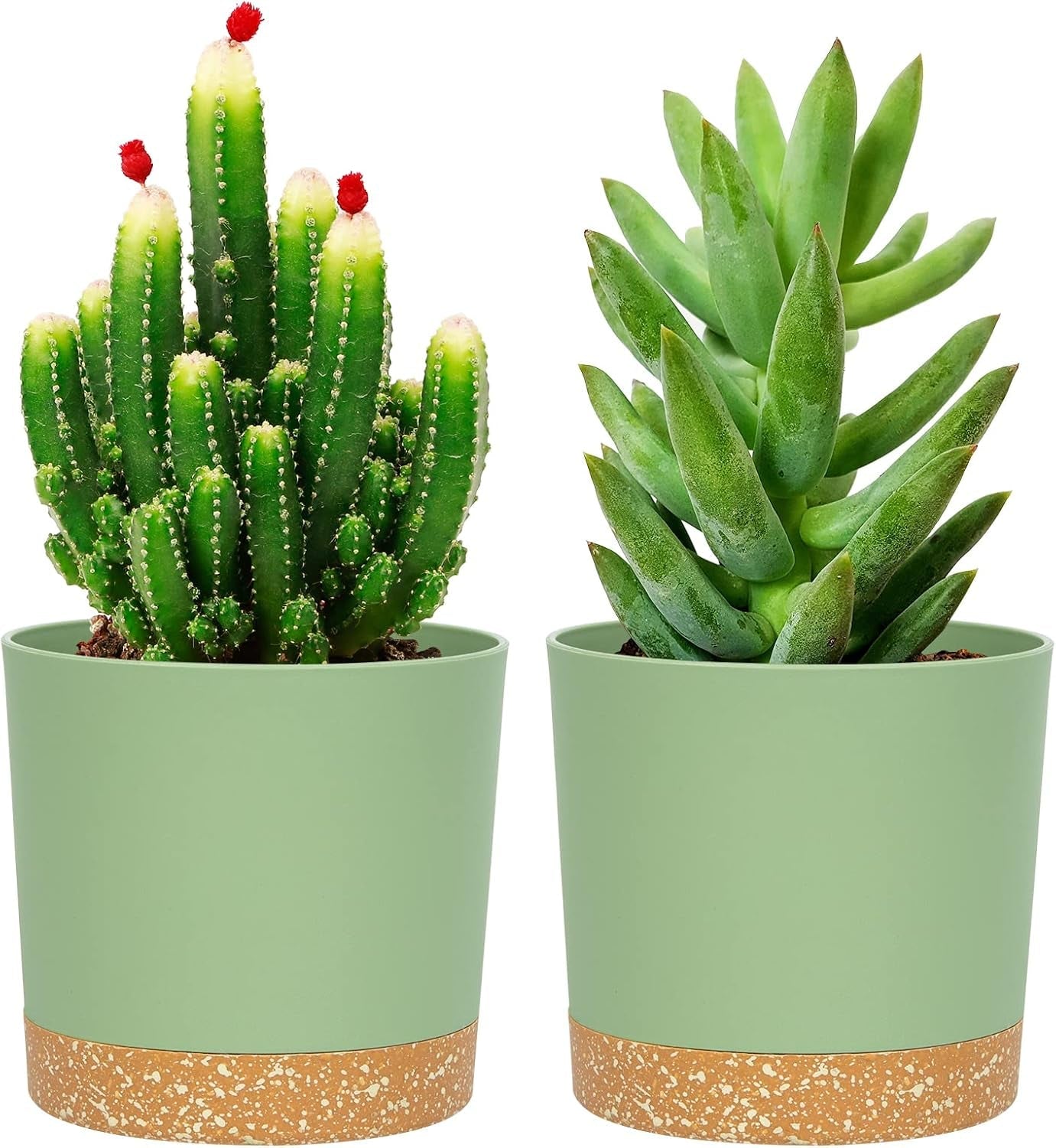 Ghiveci de flori set de 2 12,7 cm, ghivece pentru plante de interior cu găuri de drenaj și bază detașabilă, farfurioare decorative moderne pentru jardiniere de grădină de exterior (alb 12,7 cm)