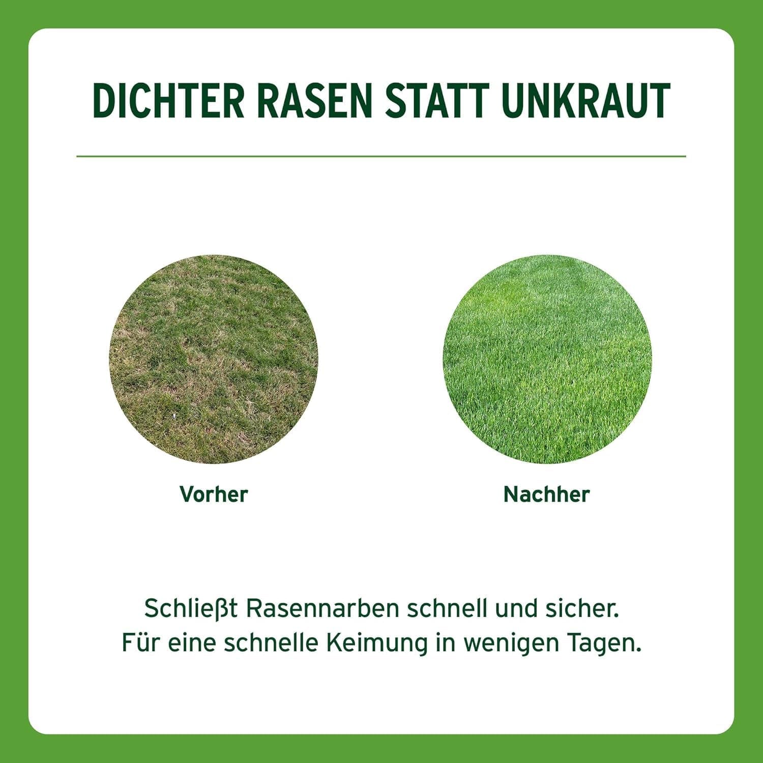 Substral Rasensamen Sport Und Spiel, 2Kg Für 100M² - Strapazierfähige Rasensaat-Mischung Mit Grünfärbung Gegen Vogelfraß