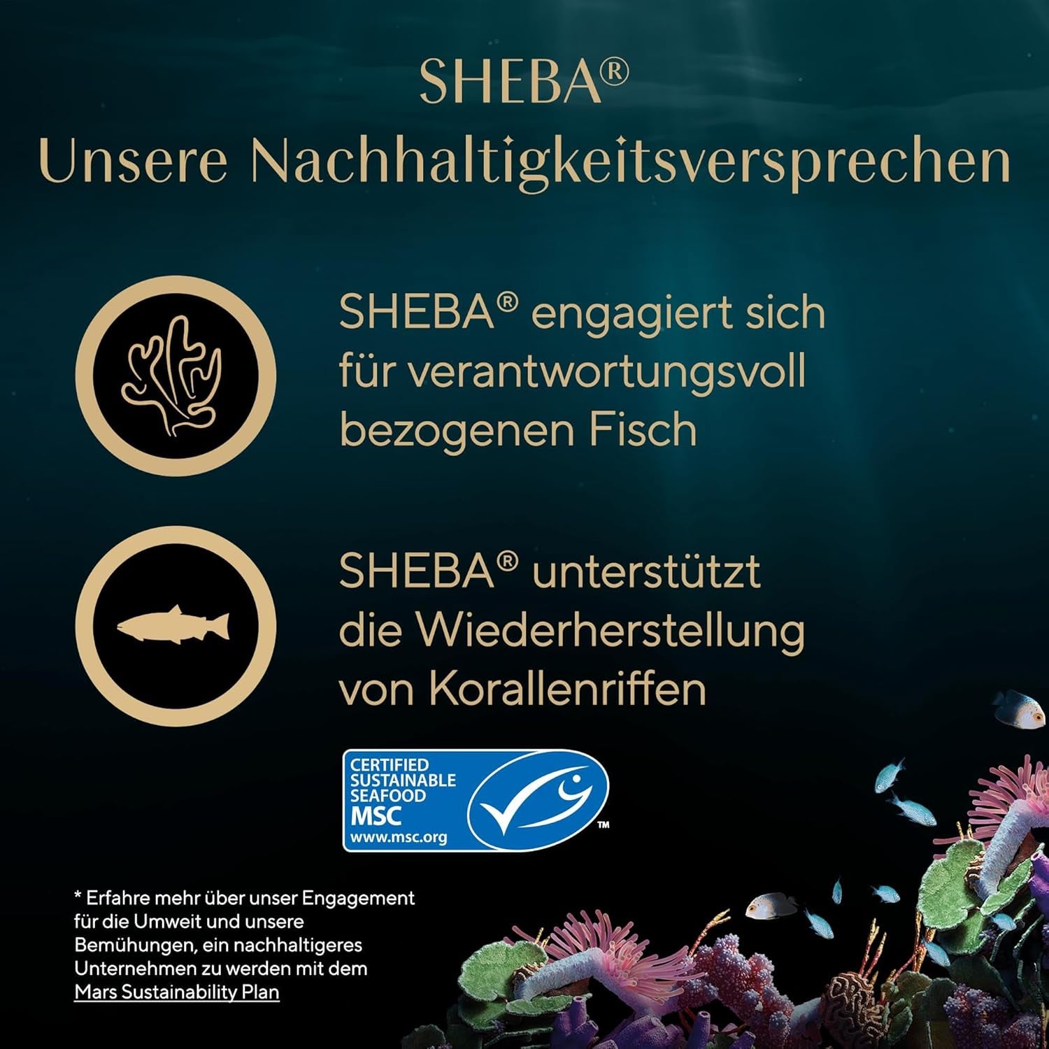 SHEBA Filets Adult Katzenfutter in Sauce mit Huhn, Hochseefisch und Garnelen 16 x 60g Schale