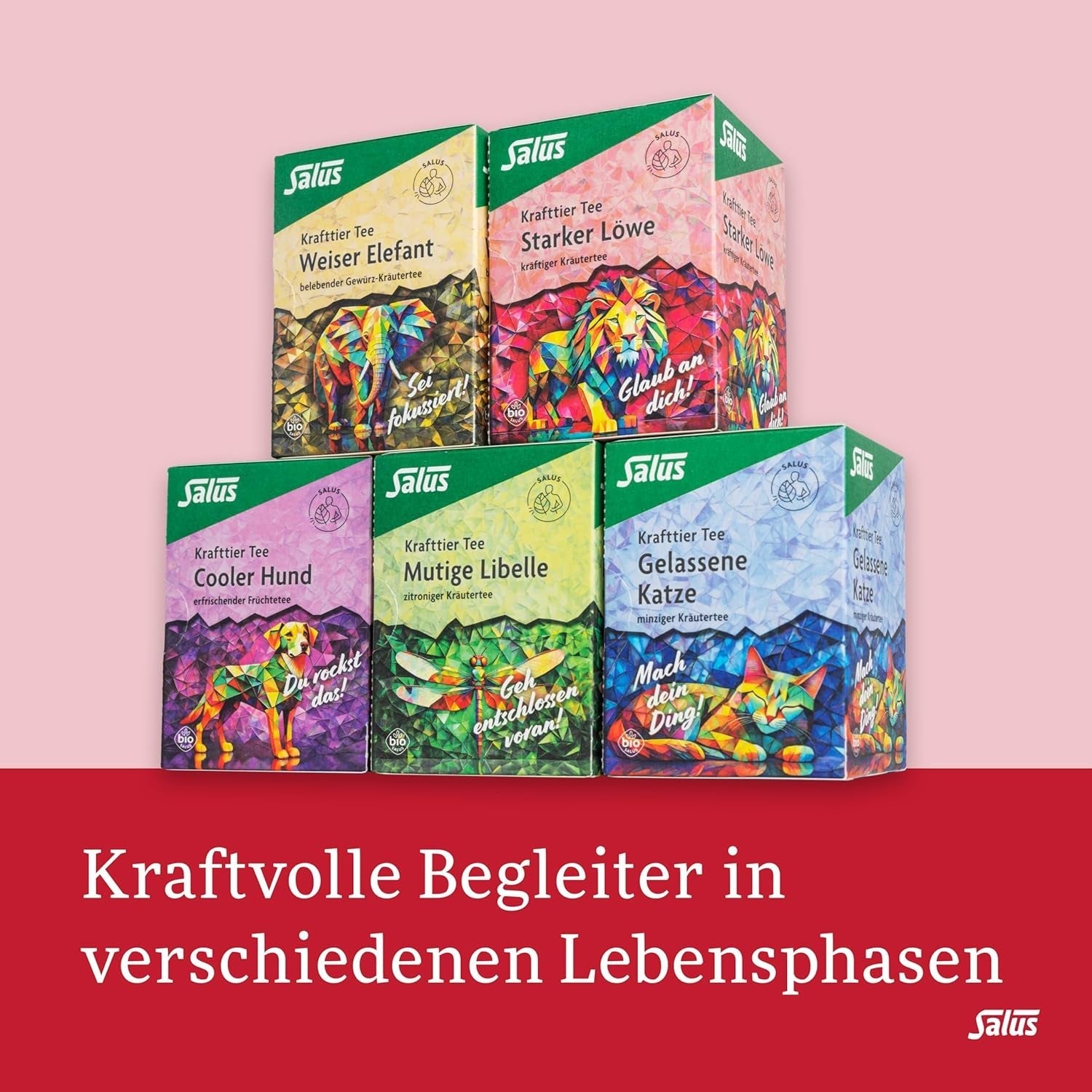 Salus - Ceai Krafttier - Leu puternic - 1X 15 pliculețe filtru (30 g) - Ceai de plante puternic cu moringa - Aromatizat - Bio