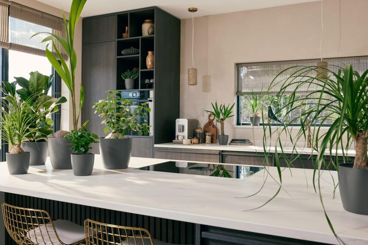 elho The Coffee Collection, ghiveci rotund de interior, 18 cm, fabricat din zaț de cafea și plastic reciclat - maro/maro espresso