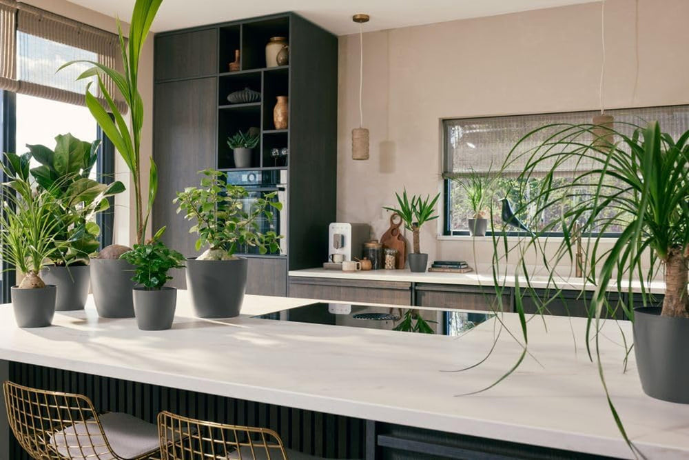 elho The Coffee Collection, ghiveci rotund de interior, 18 cm, fabricat din zaț de cafea și plastic reciclat - maro/maro espresso