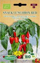 Paprika Snack Lunchbox Red