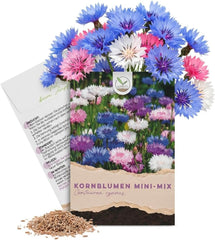Kornblumen Samen (Centaurea Cyanus) - Wunderschön Leuchtende Blumen Mit Langer Blütezeit, Kleinwüchsig - Ideal Für Den Balkonkasten (Mini Mix, 1000 Korn, 50 Cm)