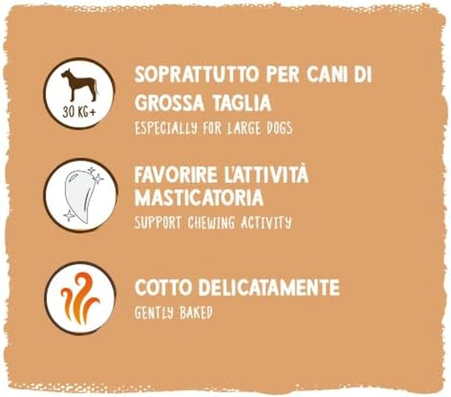 Sammy müzli érméi | Ropogós sült snackek kutyáknak | 5 gabonás müzli érme nagy szőrös barátjának (30 kg+) | 1 kg