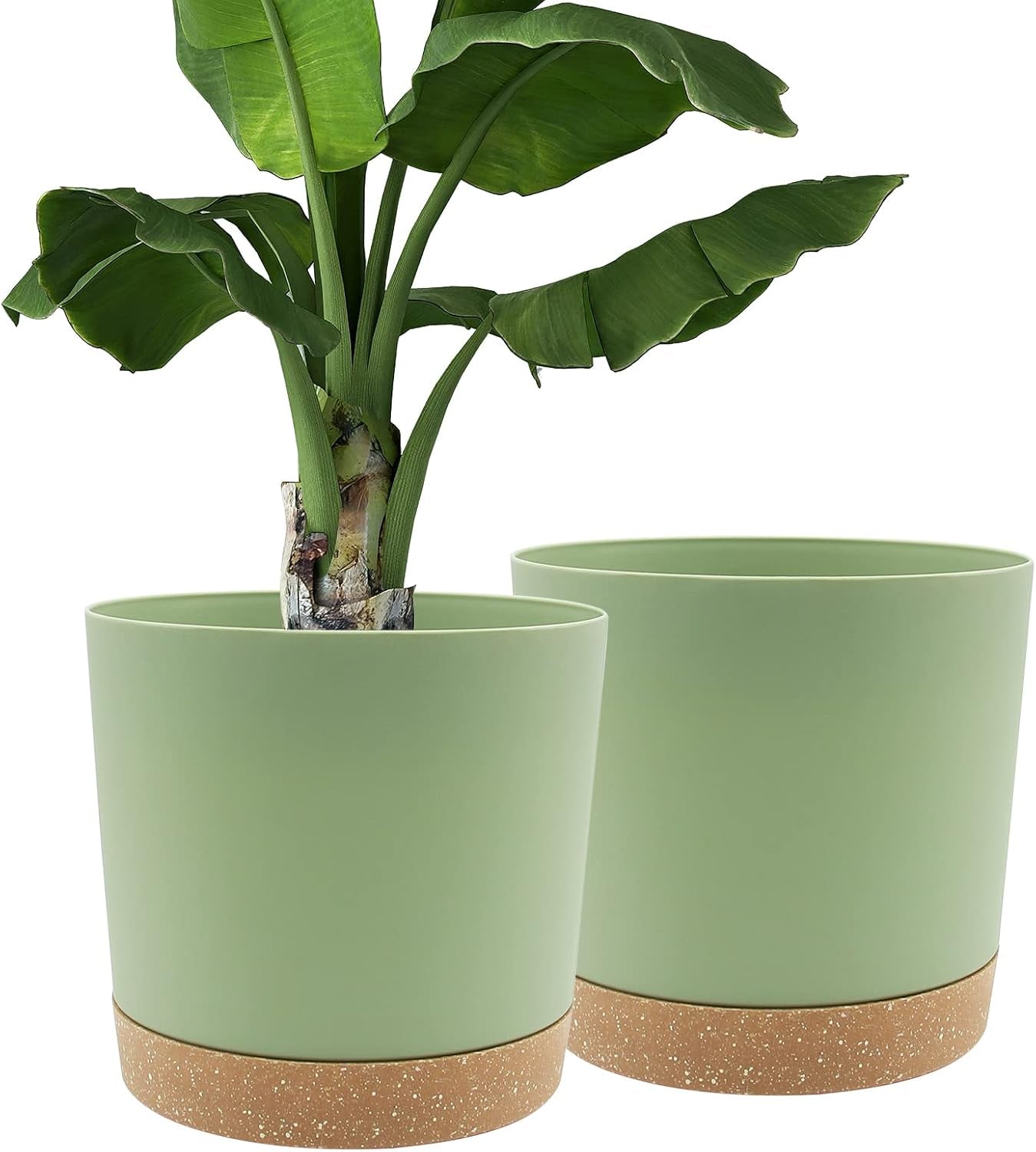 Ghiveci de flori set de 2 12,7 cm, ghivece pentru plante de interior cu găuri de drenaj și bază detașabilă, farfurioare decorative moderne pentru jardiniere de grădină de exterior (alb 12,7 cm)