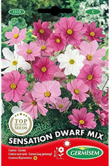 Ékszerkosár, tarka, EC1515