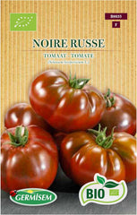 Tomate Noire Russe