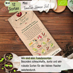 Bio mini paradicsom magkészlet: 12 fajta szabadon termesztett paradicsom | Ritka és családi koktél, cseresznye és marhasteak paradicsommag | Zöldségmagok erkélyre, emelt ágyásra, kertre és ajándékba | Loveplants