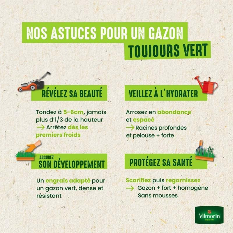 Semences De Gazon 7 Jours - 1 Kg