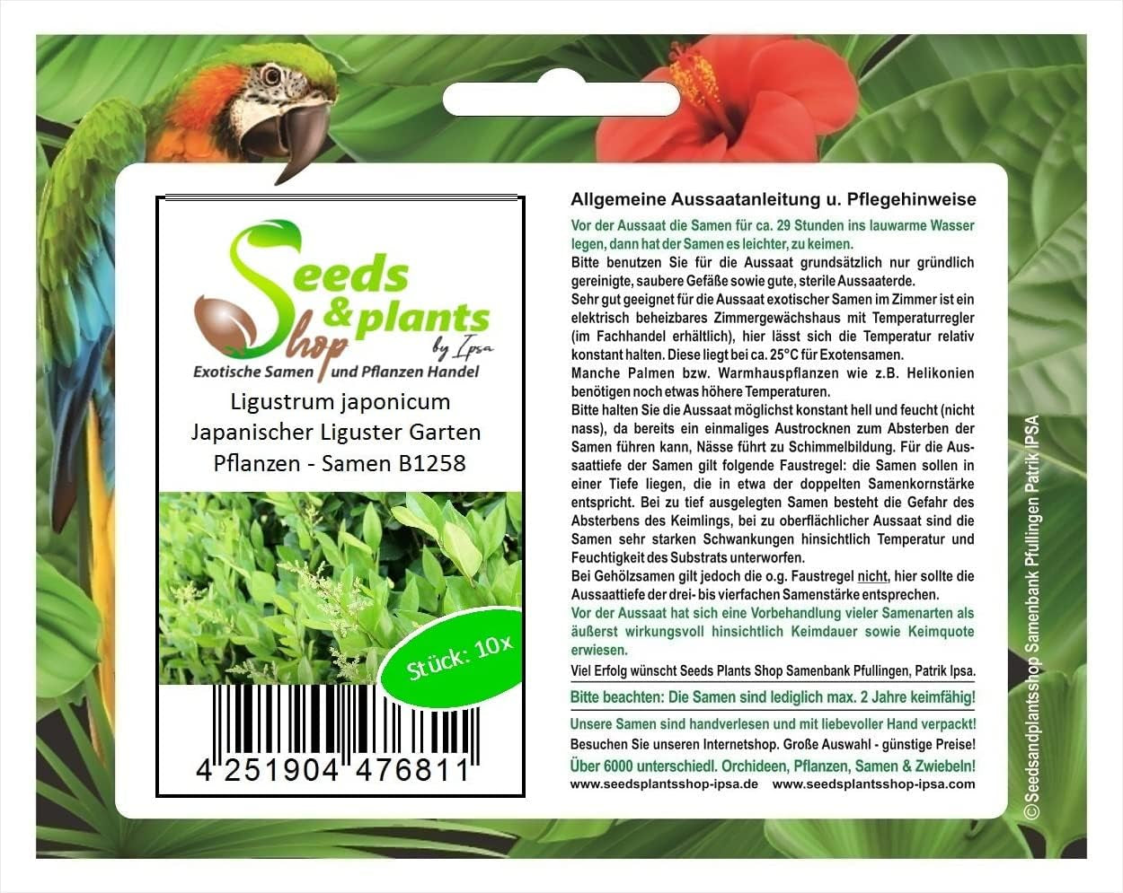Stk - 10X Ligustrum Japonicum Japanischer Liguster Garten Pflanzen - Samen B1258 -