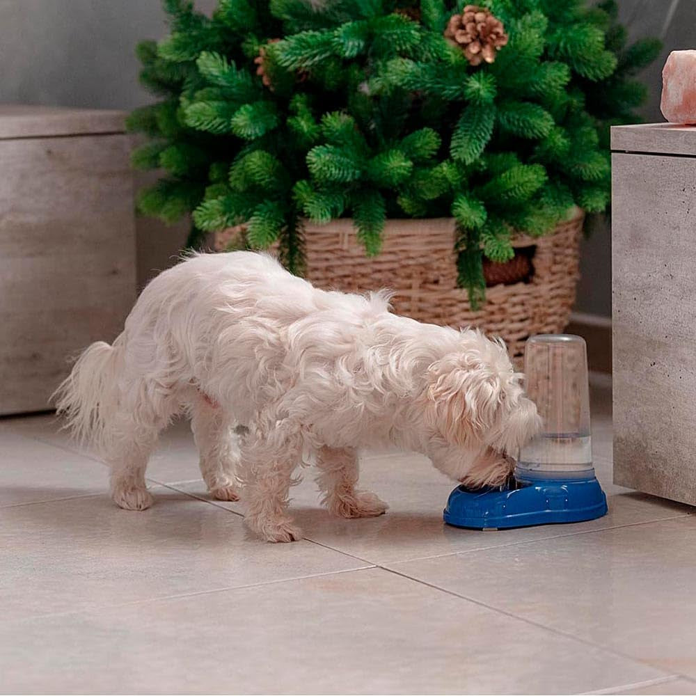 Ferplast Futter- oder Wasserspender für Hunde und Katzen AZIMUT 600 Futtertrog Water 0,6 liter, Rutschfester Boden, 12,5 x 19 x ma 19,5 cm kék
