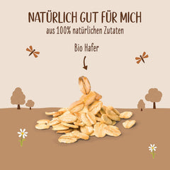 Allos Bio Haferdrink Barista | Milchalternative aus Hafer | Schaubarer Drink auf Pflanzenbasis | Kávéhoz tökéletes Vegán, laktózmentes Ital | 1 liter (6 db)