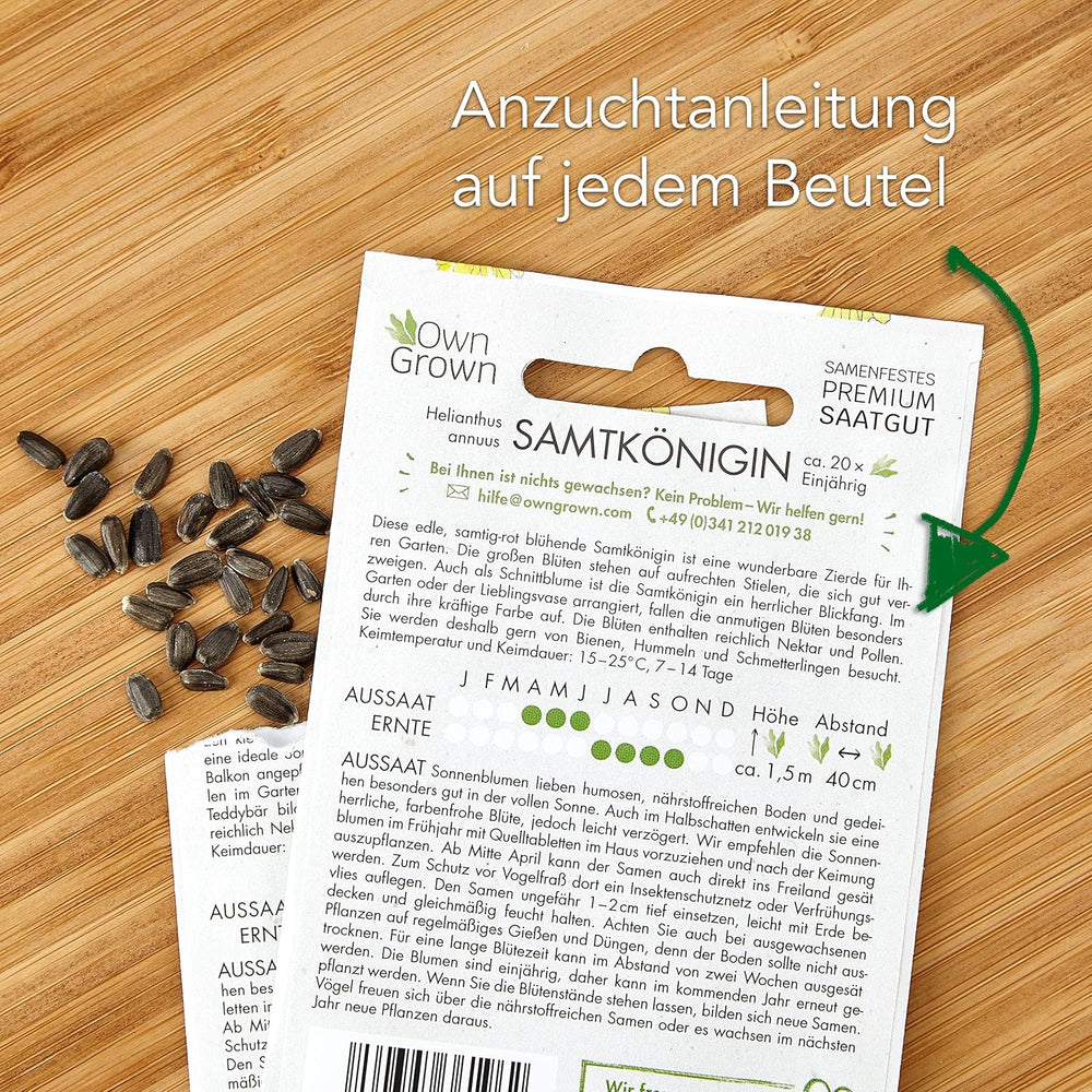 Sárga korongos napraforgómag (Helianthus annuus): Prémium napraforgómag, napraforgómag körülbelül 20 napraforgó növény termesztésére - Rovarbarát virágmag saját termesztésből