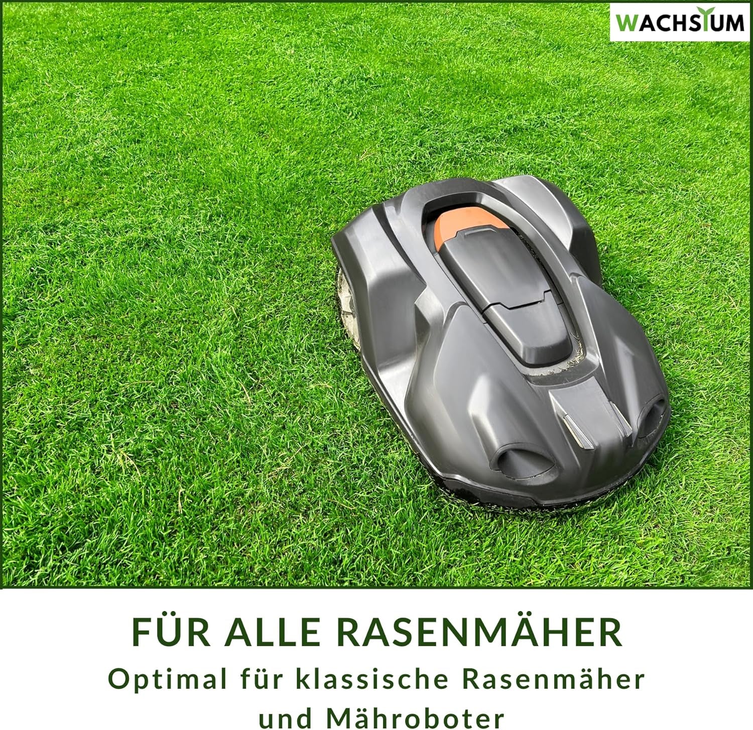 Rasensamen Schnellkeimend 0,5 Kg – Frühjahr Und Sommer Premium Grassamen Nachsaat, Dichter Strapazierfähiger Rasen, Mähroboter Geeignet – Kräftiges Wachstum (Bis 20 M²), RSM Qualität,