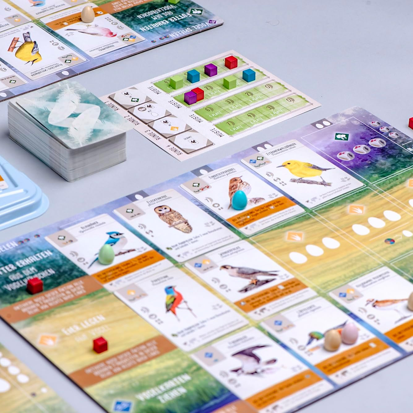 Feuerland Spiele 104-146-901 63558 Wingspan társasjáték, német kiadás – Kennerspiel des Jahres 2019 (kritikusok díja)