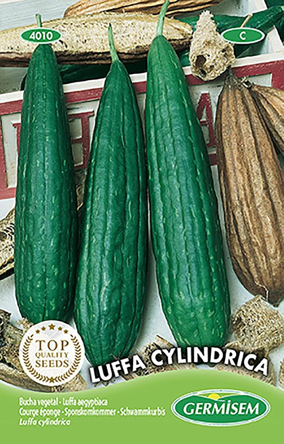 LUFFA CYLINDRICA
