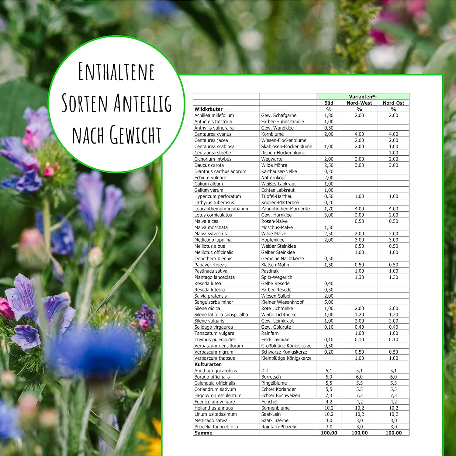 Méhmagok - réti vadvirágok, évelő és télálló, magvak - több mint 40 őshonos virág és vadon termő fűszernövény, különleges fajválogatás Dél-Németország számára, 50g